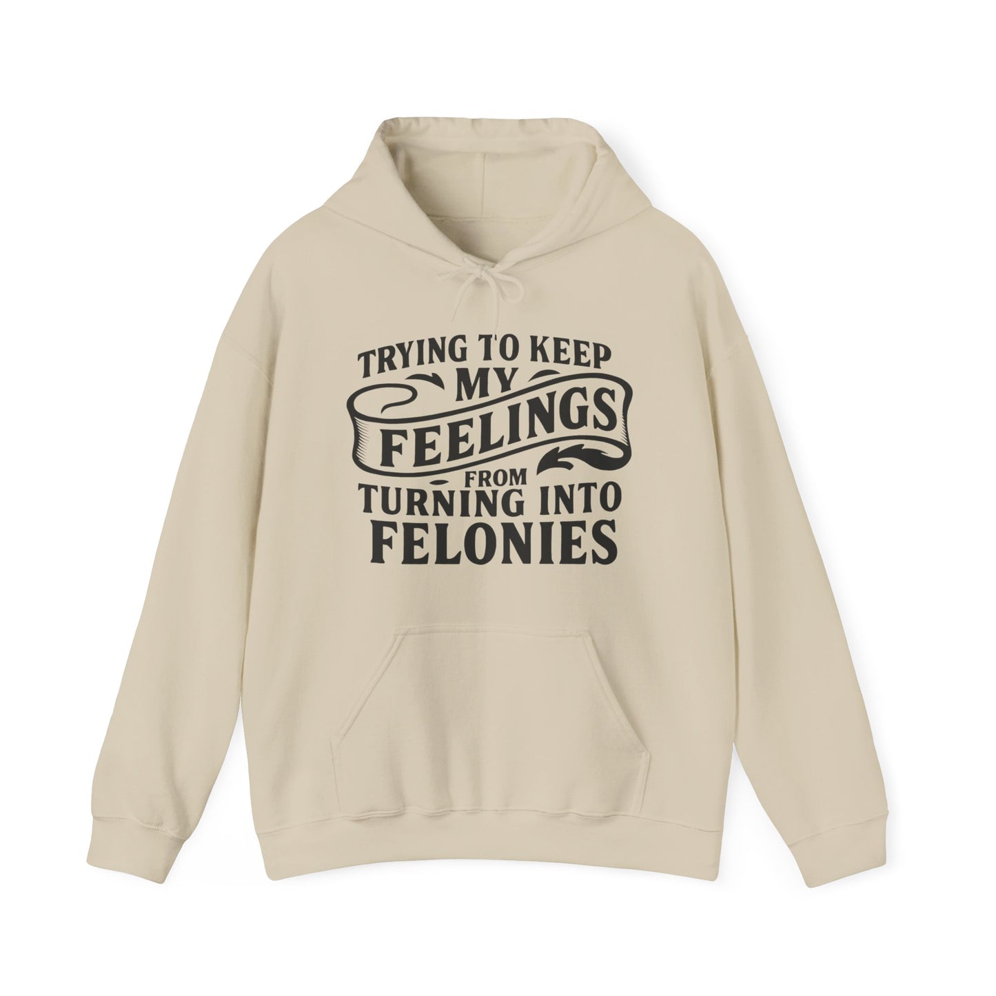 Feelings Hoodie