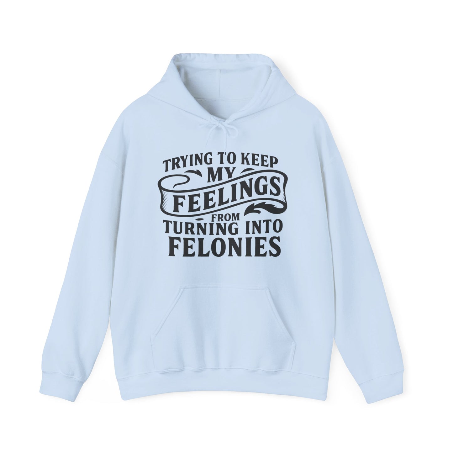 Feelings Hoodie