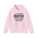 Currently Unsupervised Hoodie