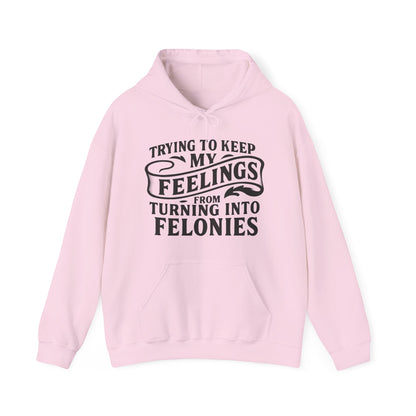 Feelings Hoodie