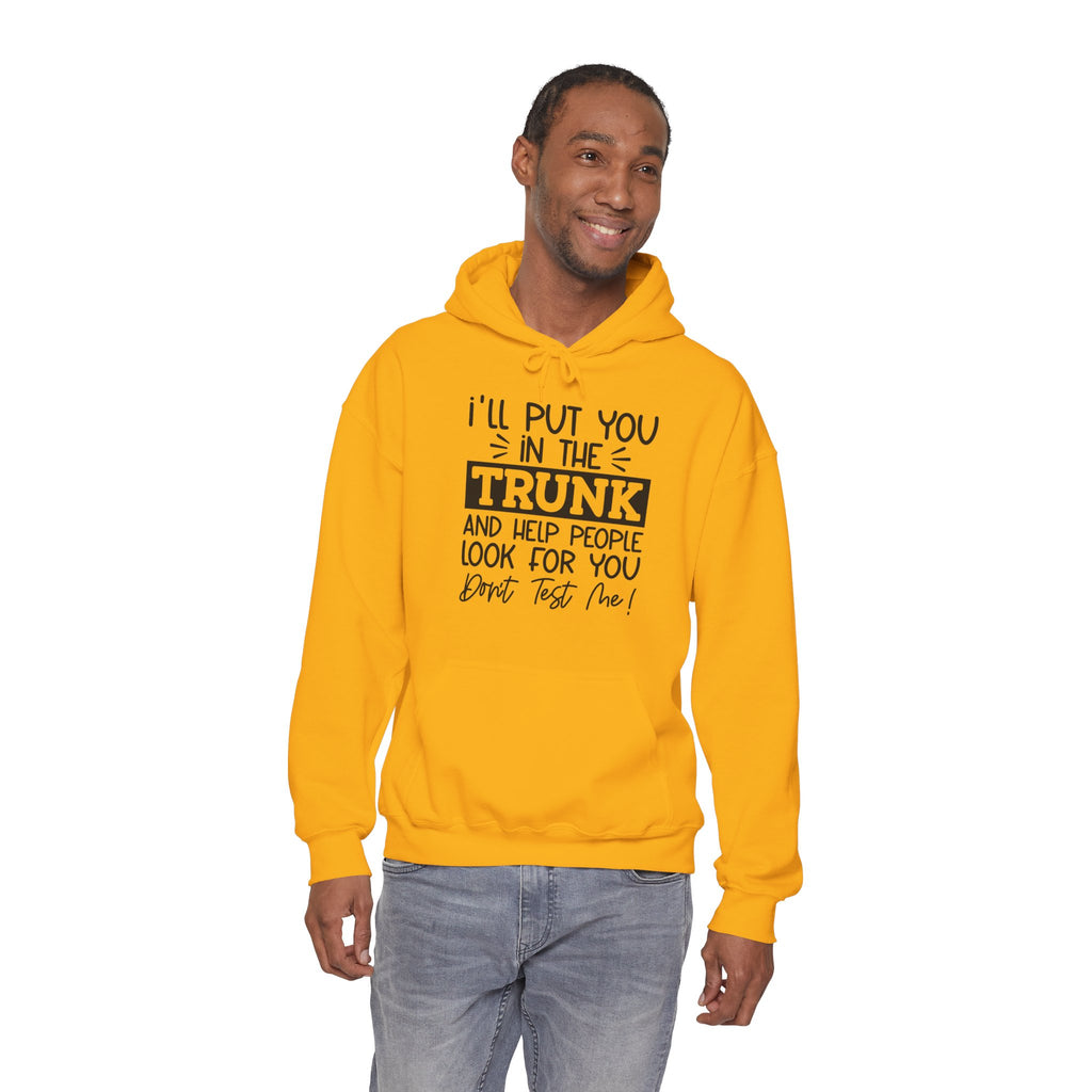 I'll Put you in the Trunk Hoodie