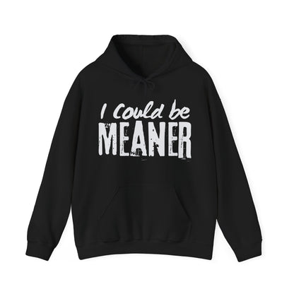 I Could be Meaner Hoodie