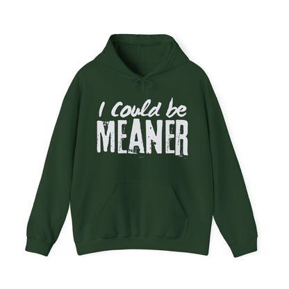 I Could be Meaner Hoodie