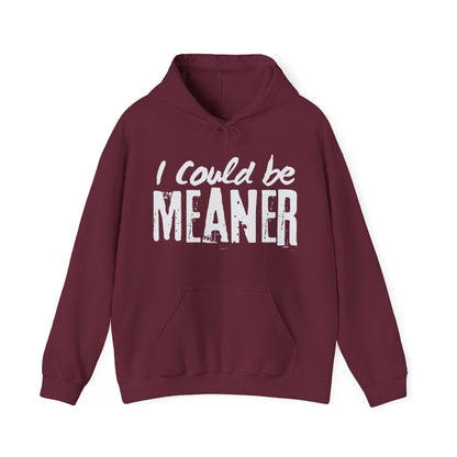I Could be Meaner Hoodie