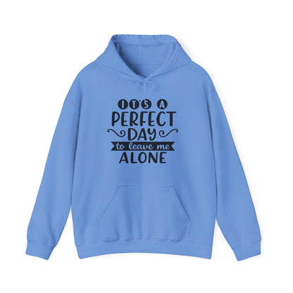 It's a Perfect Day Hoodie