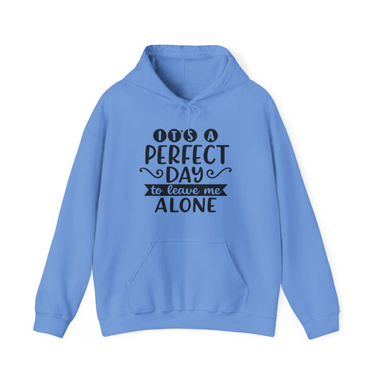 It's a Perfect Day Hoodie