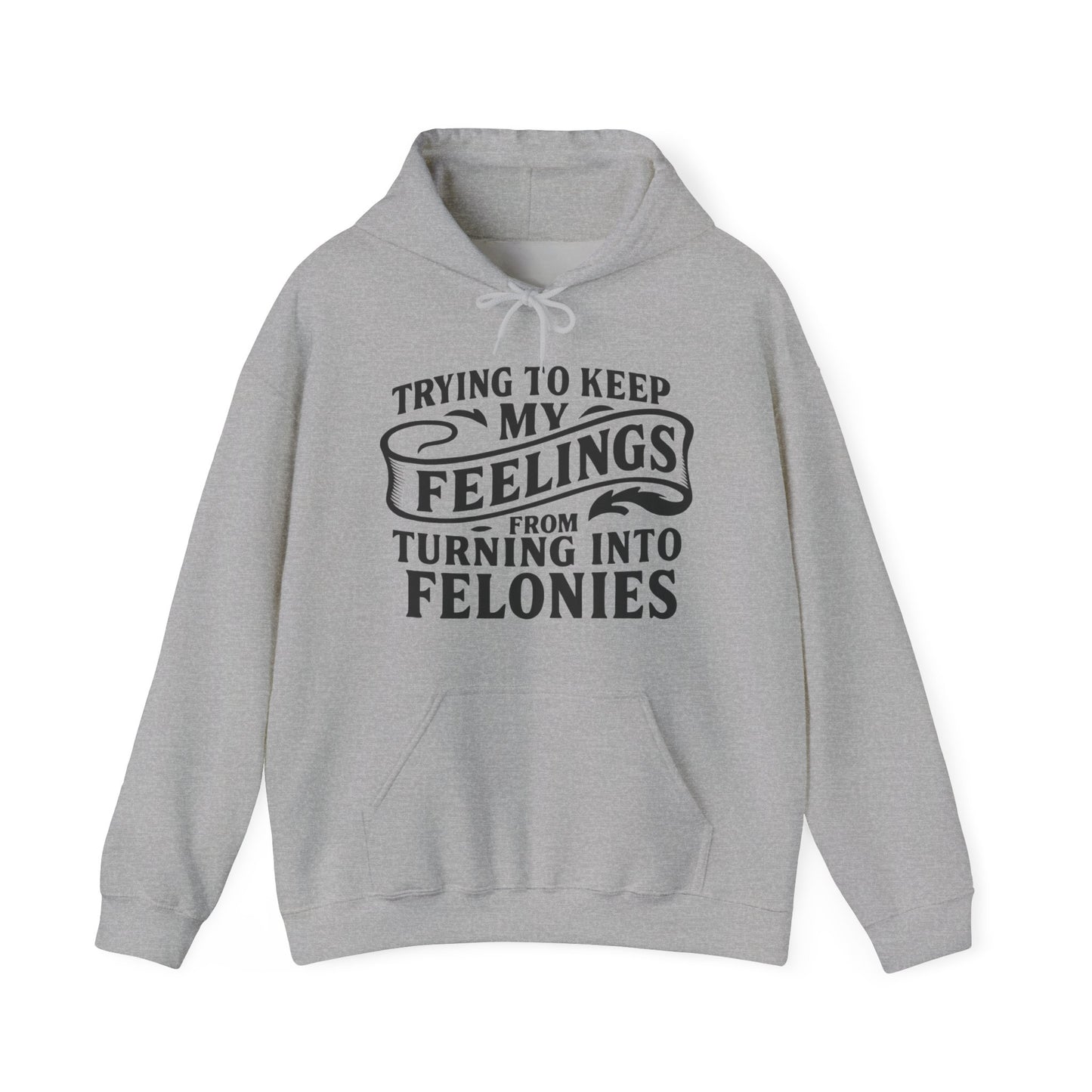 Feelings Hoodie