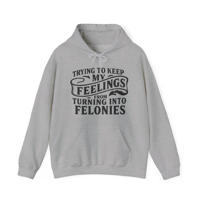 Feelings Hoodie