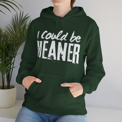 I Could be Meaner Hoodie