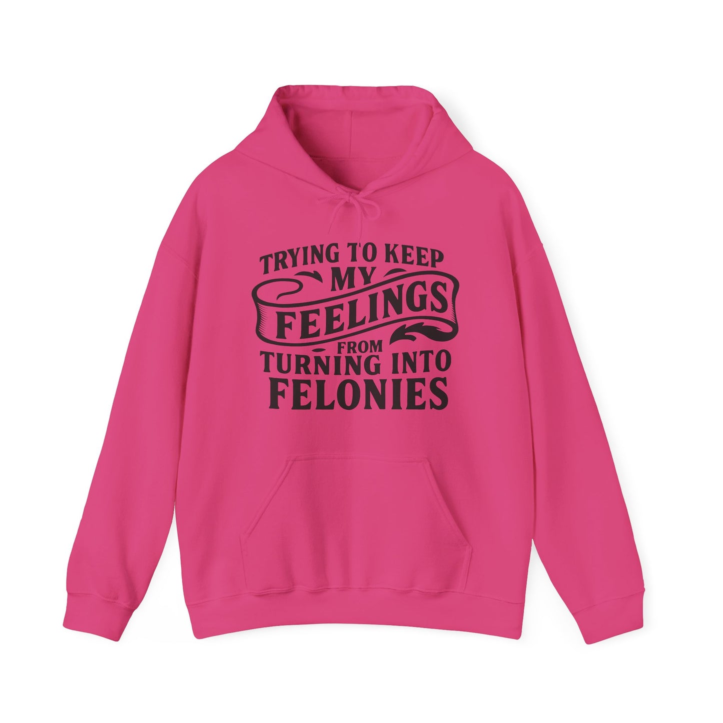 Feelings Hoodie
