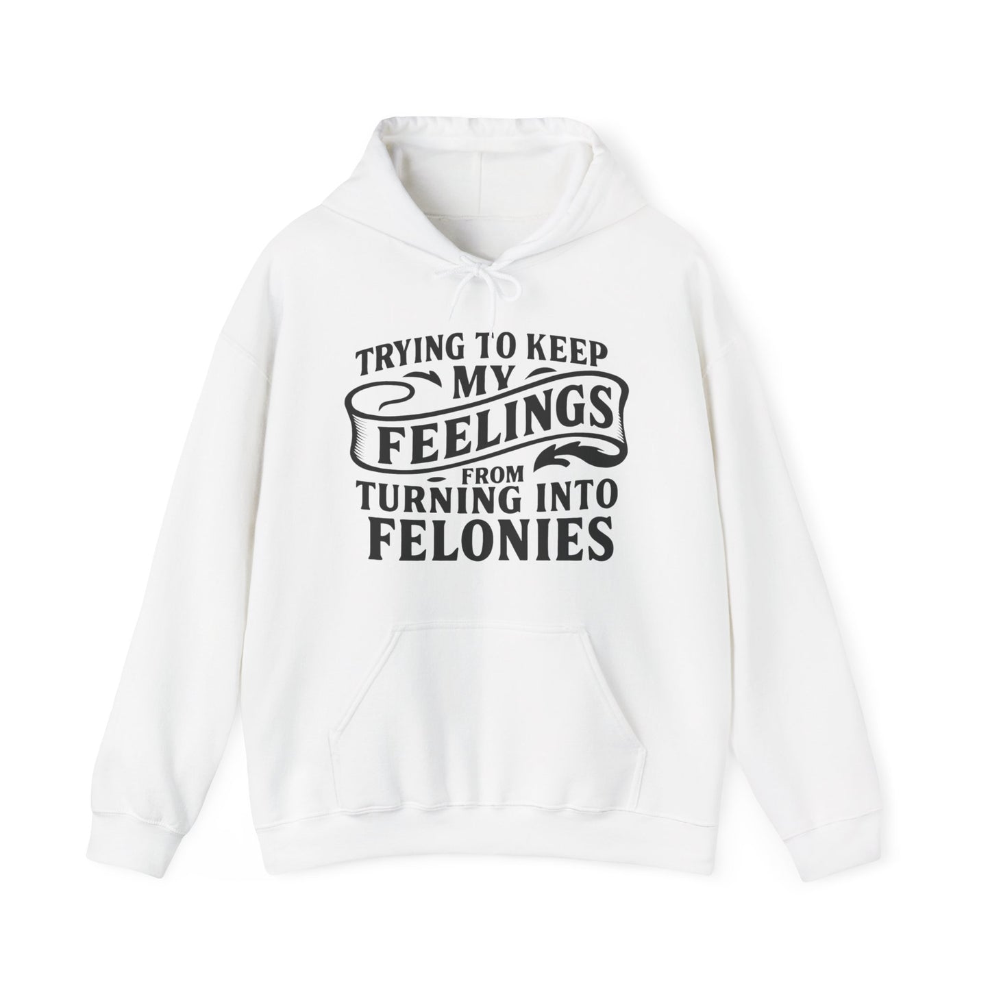 Feelings Hoodie
