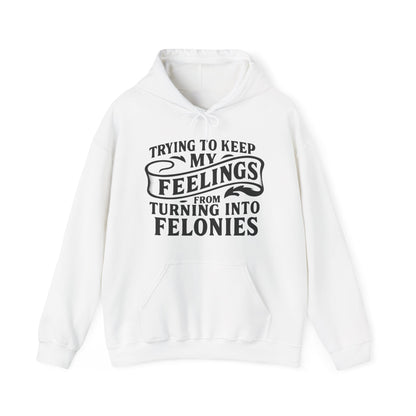 Feelings Hoodie