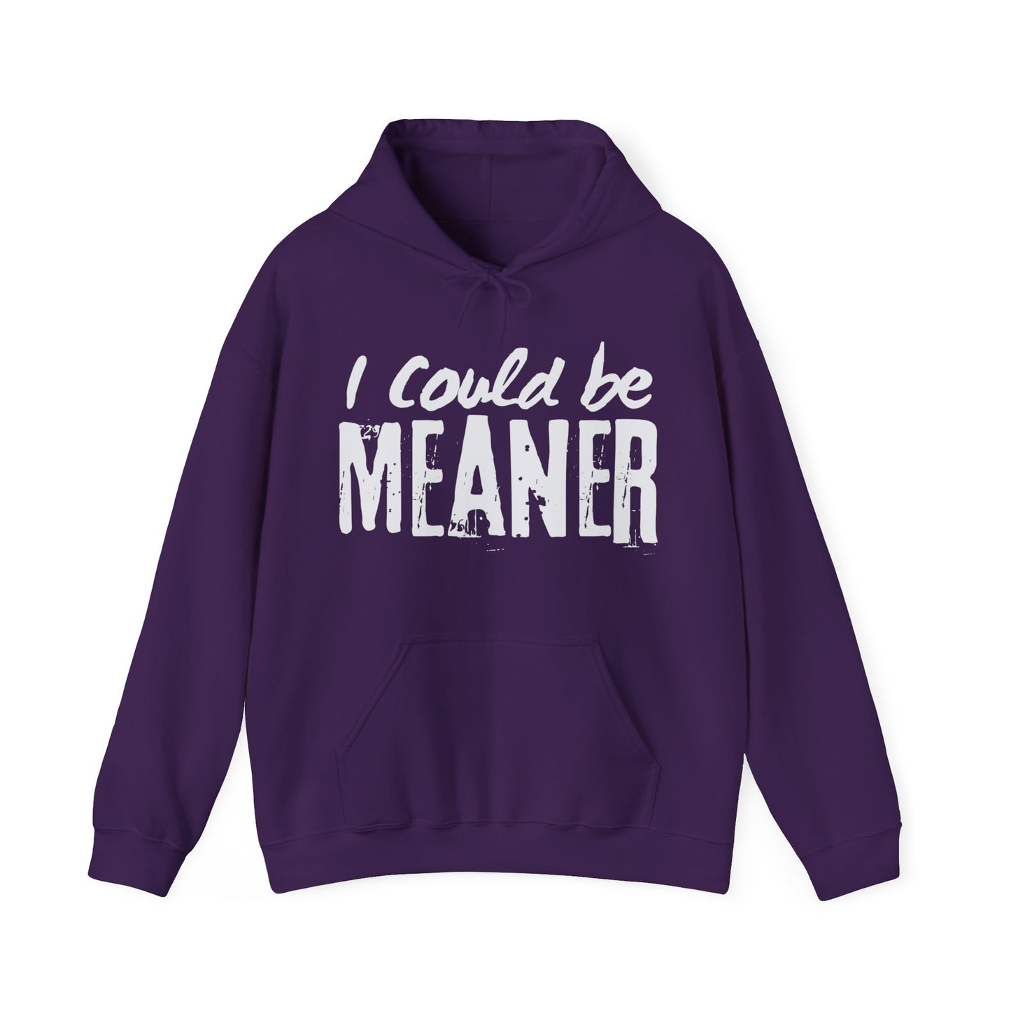 I Could be Meaner Hoodie
