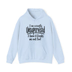 Currently Unsupervised Hoodie