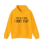 I Didn't Study Hoodie