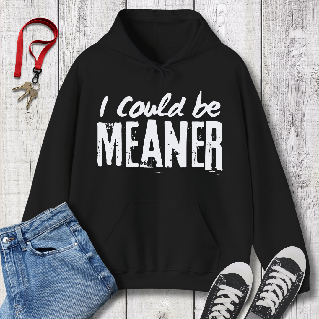 I Could be Meaner Hoodie