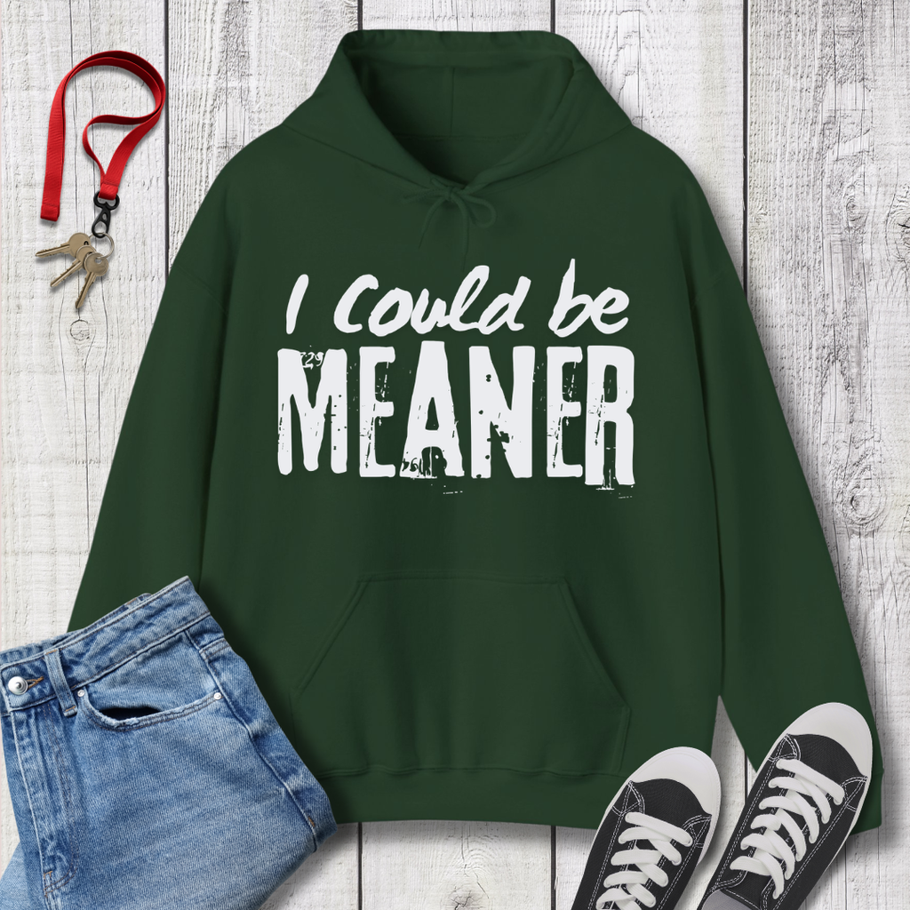 I Could be Meaner Hoodie