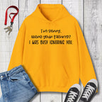 I'm Sorry were you talking Hoodie
