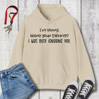 I'm Sorry were you talking Hoodie