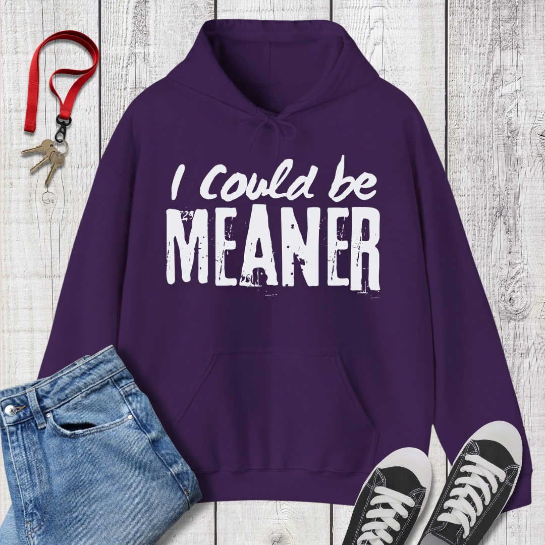 I Could be Meaner Hoodie